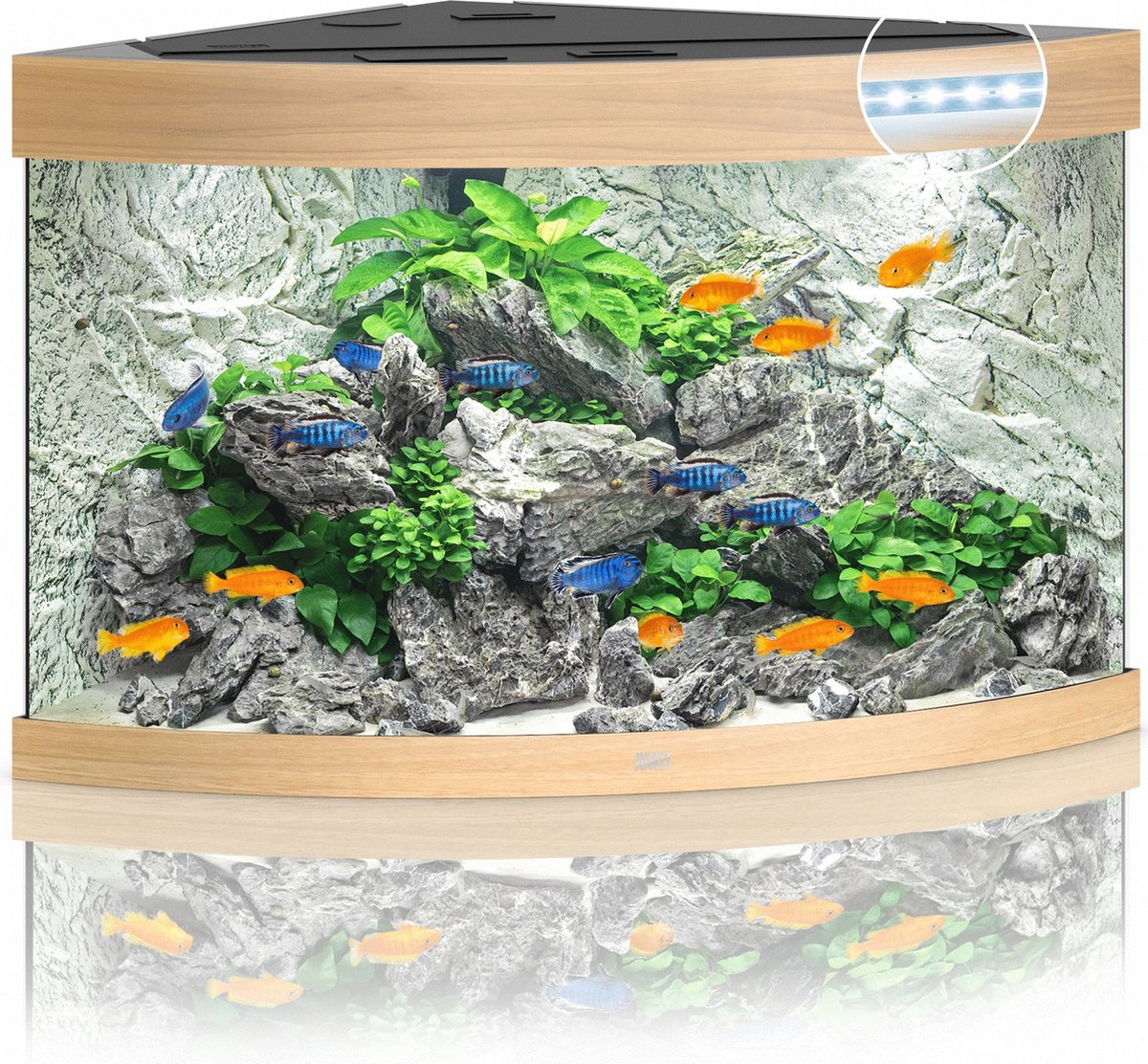 Juwel aquarium Trigon 190 LED met filter licht eiken - Gebr de boon