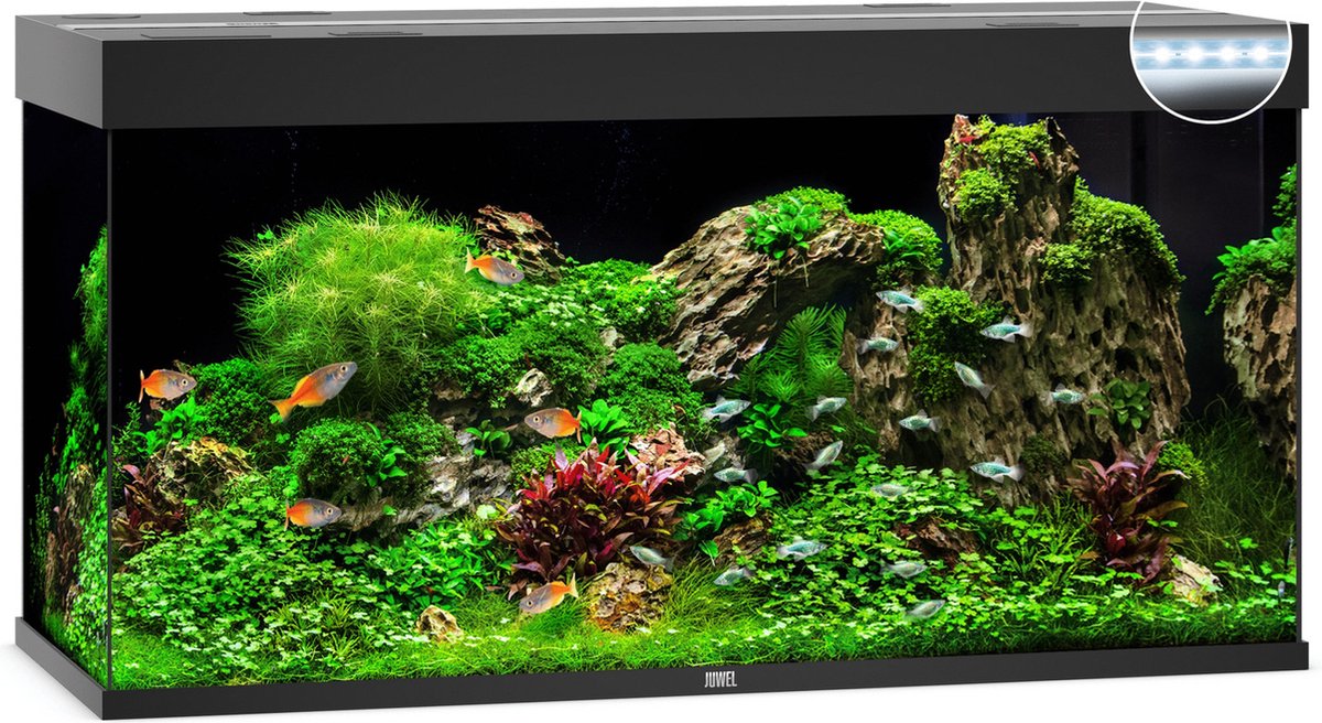 Juwel aquarium Rio 350 LED met filter zwart - Gebr de boon