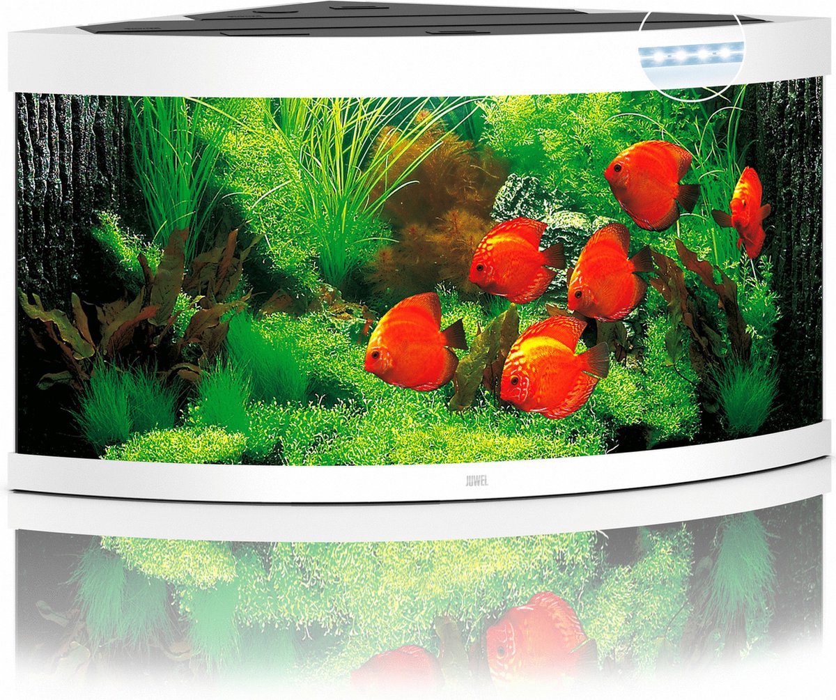Juwel aquarium Trigon 350 LED met filter wit - Gebr de boon