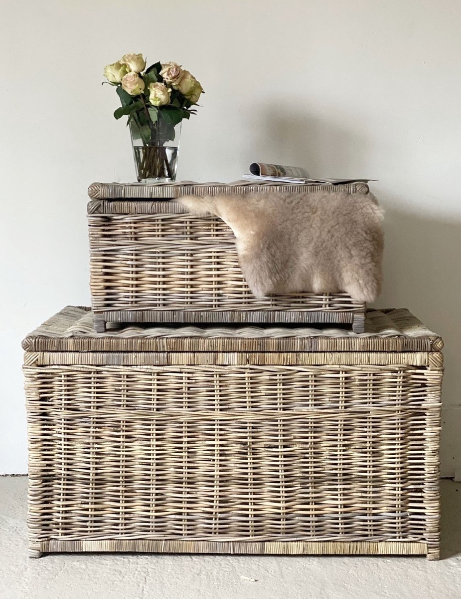 Sweet Living - Rotan Opbergkist - 110x60xH60 cm