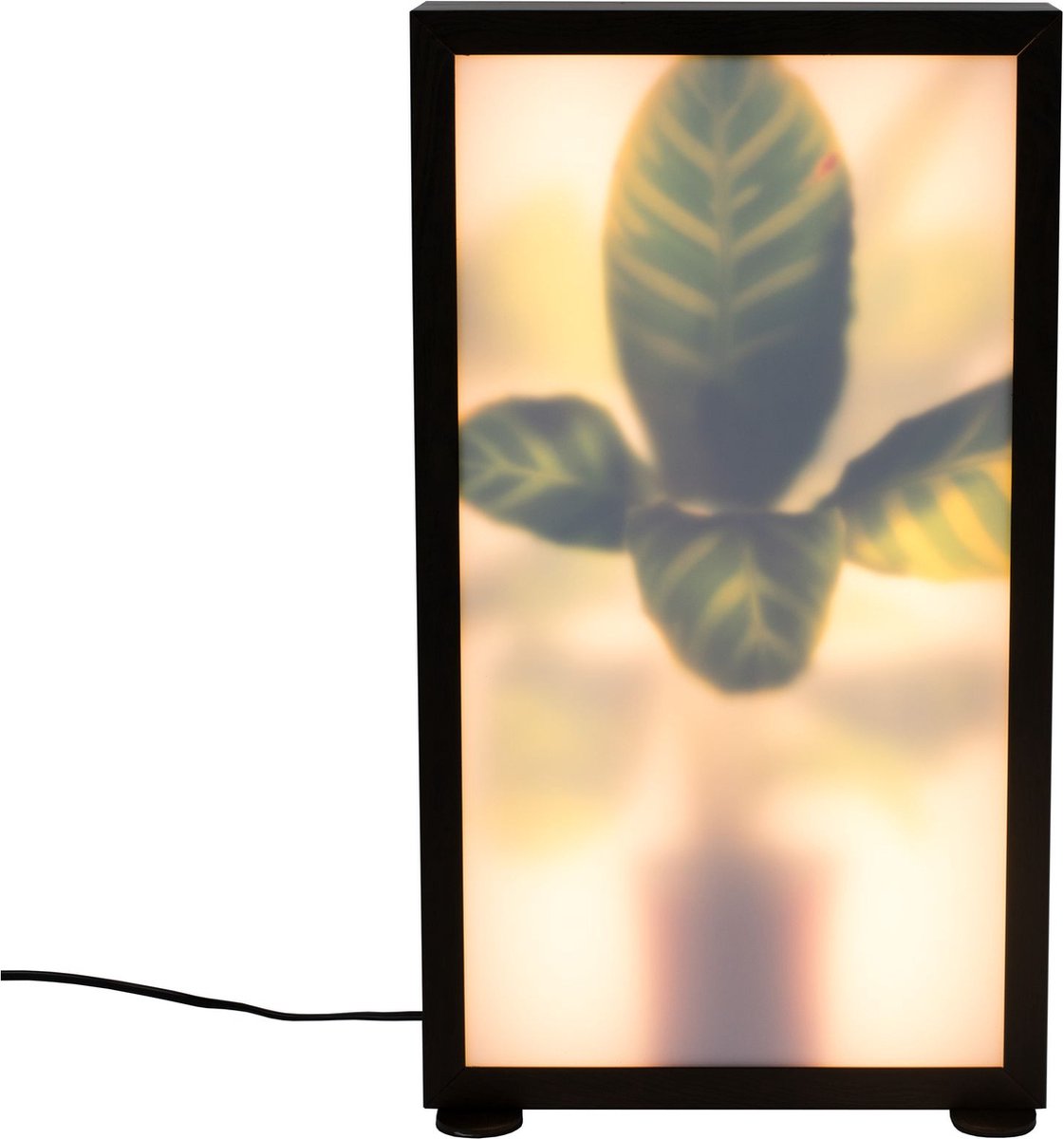 Zuiver Grow Vloerlamp M