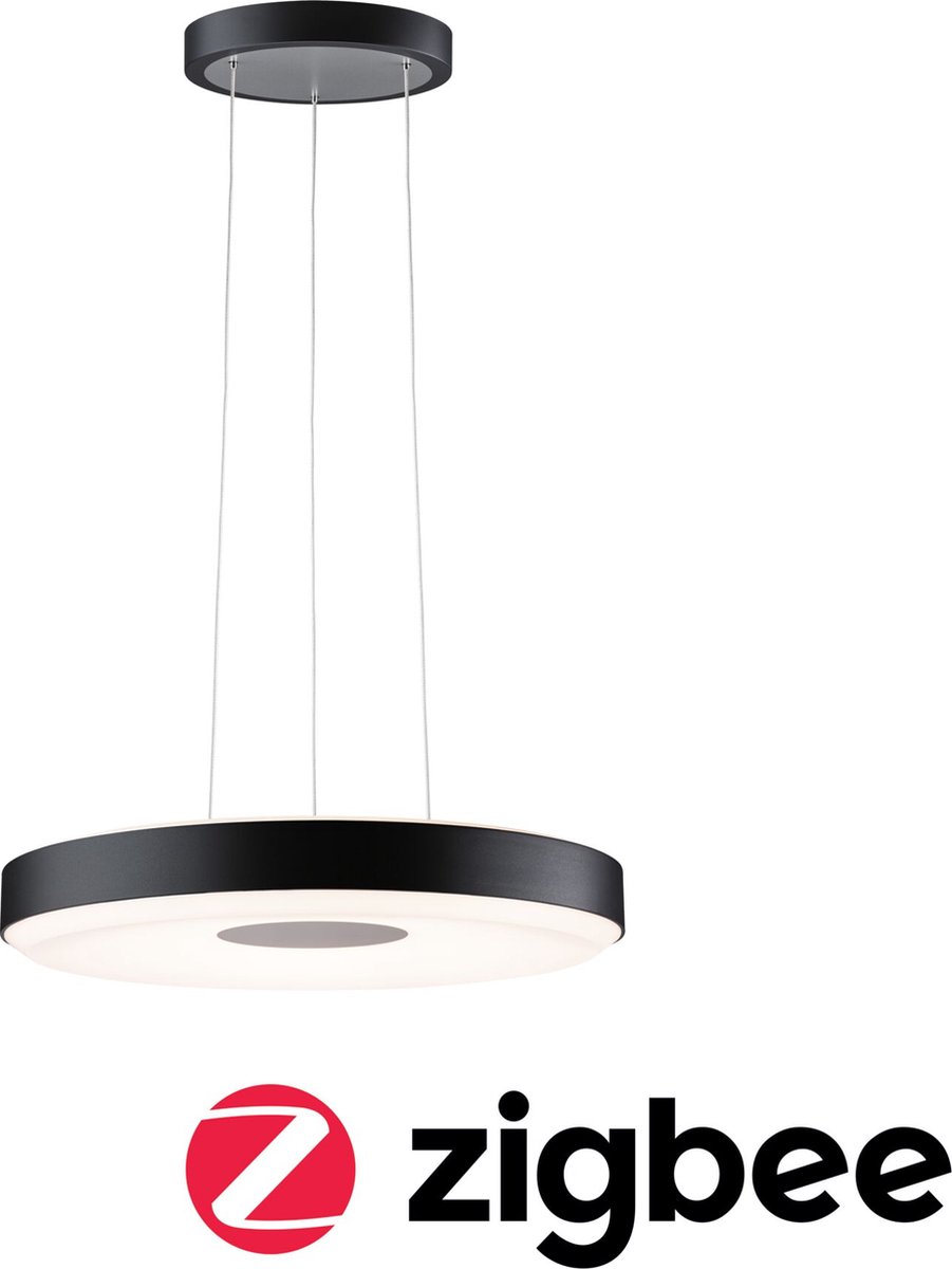 Paulmann Pane 79779 LED-hanglamp 11 W Zwart, Grijs