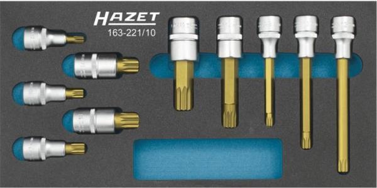 HAZET Dopsleutelbitset 163-221/10 · 10-delig · M8 · M10 · M12 · M14 · M16 · M18 · M8 · M14 · M10 · M12