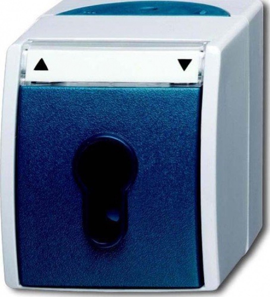 ABB 2CKA001101A0916 Schakelaar IP44 Grijs-wit (RAL 7035), Blauw-groen