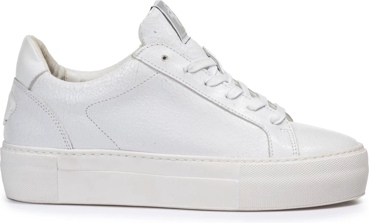 Floris van Bommel SFW-10059 Sneakers