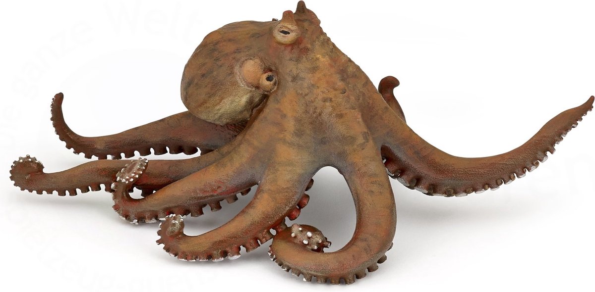 Papo Inktvis - H: 7 cm - Papo - OneSize - Speelgoeddieren