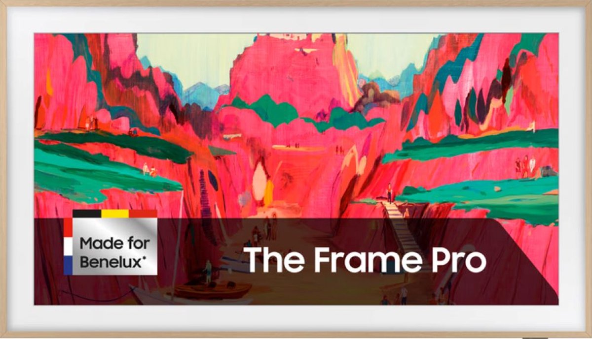 Samsung The Frame Pro 65LS03F (2025) | Smart TV's | Beeld&Geluid - Televisies | 8806097617563