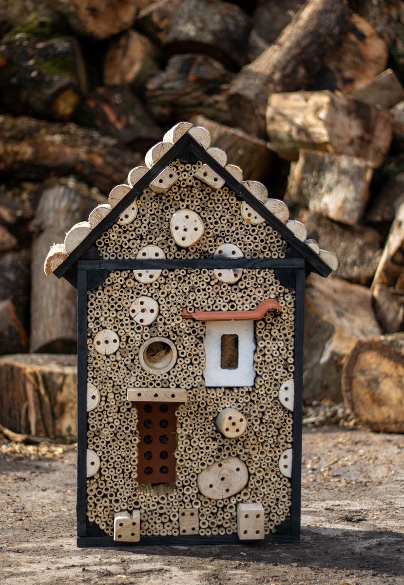 Insectenhotel de Langpoot 20x50x90 cm - Boomstijl