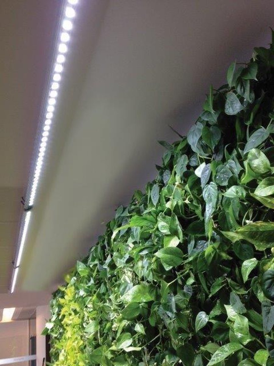 Parus Linear langwerpige kweeklamp led wit 60 graden 40w 120cm - Btt