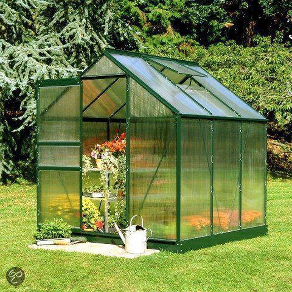 Popular 66, groen gecoat, polycarbonaat 4mm - Royal well