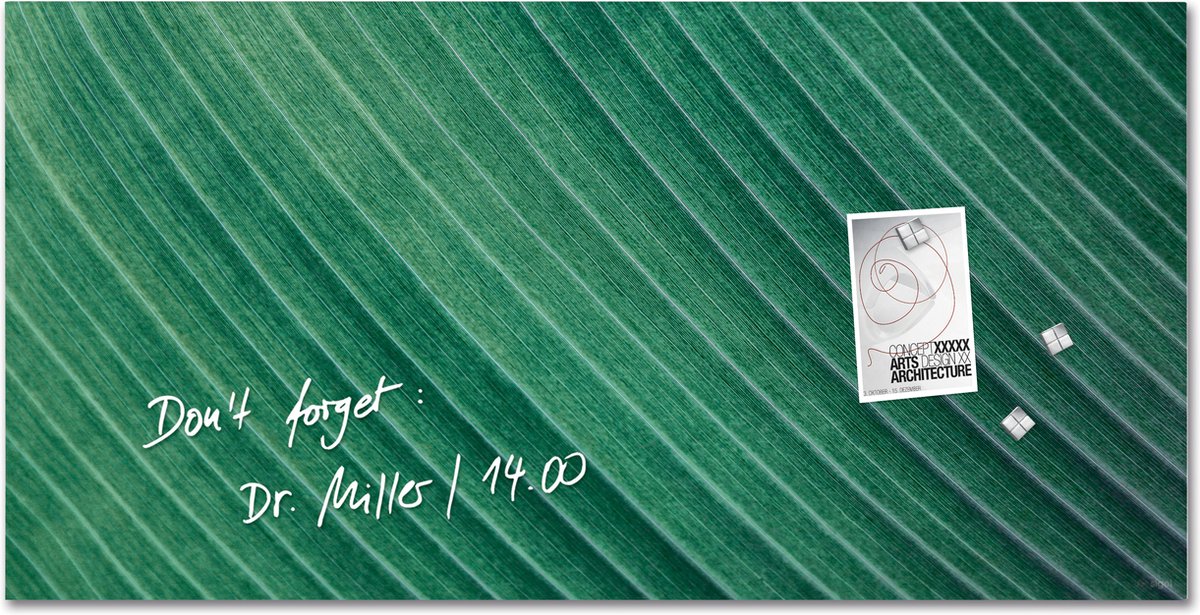 Sigel SI-GL371 Glasmagneetbord Artverum Palm Leaf 91x46 cm Groen