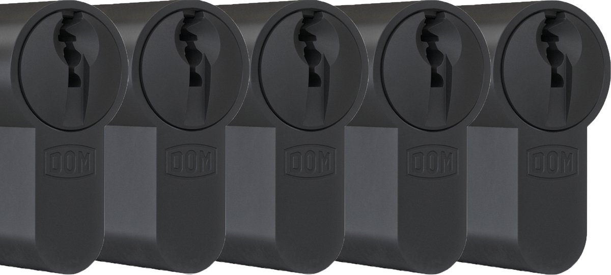 DOM Zwarte profielcilinder Plura 30/30mm - SKG 3 sterren - 5 gelijksluitende cilinders