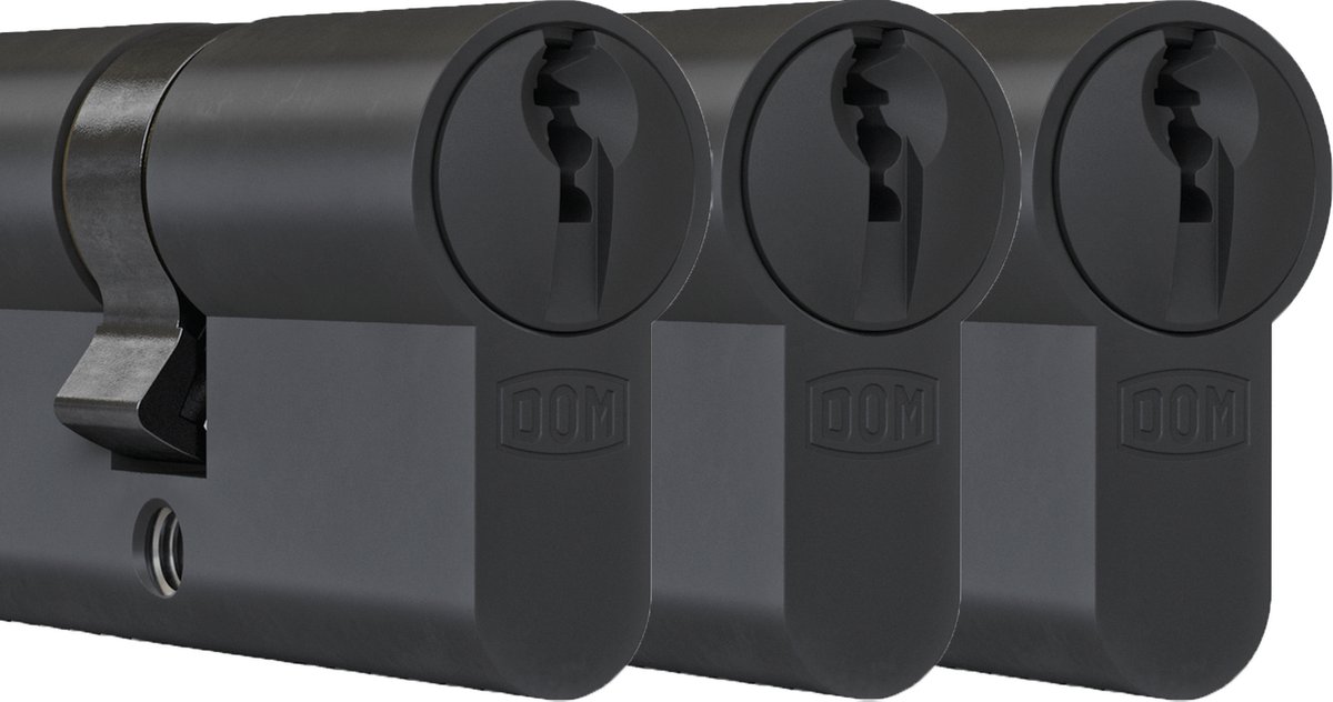 DOM Zwarte profielcilinder Plura 30/30mm - SKG 3 sterren - 3 gelijksluitende cilinders