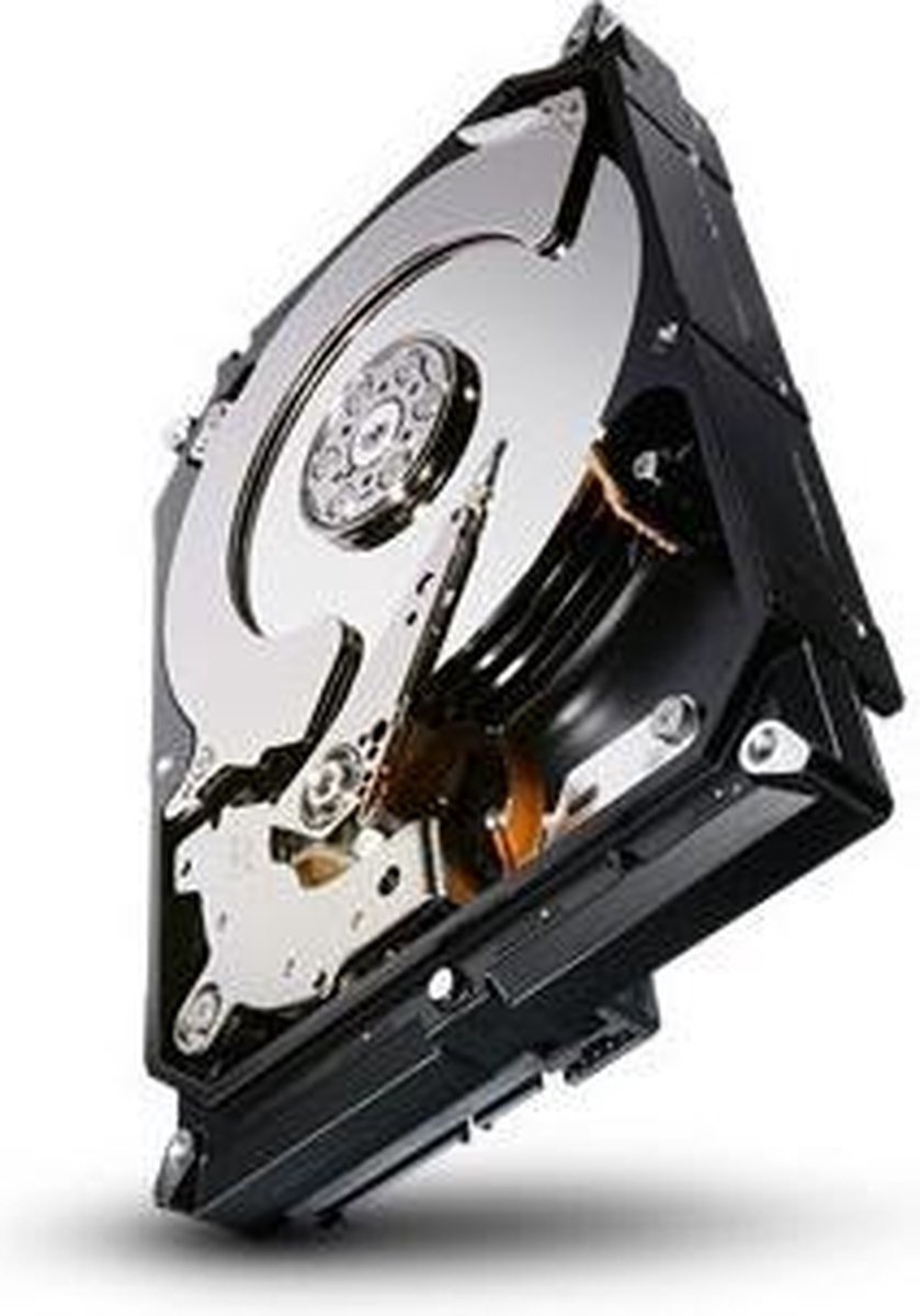 Constellation CS - 3000 GB