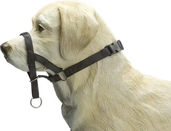 Beeztees Dog Control - Hondenhalsband - Zwart - L
