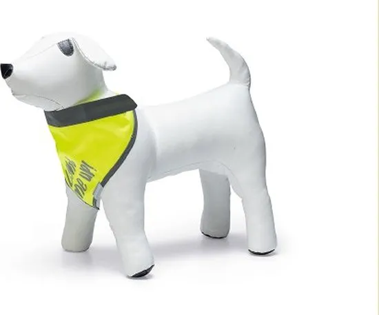 Beeztees Safety Gear Bandana Chiny - Hondenkleding-  Reflecterend - Maat M - Nekomvang: 40 tot 45 cm