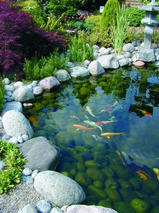 BioPressure II 10000