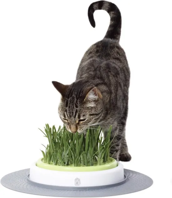 Catit Design Senses Grass Garden Kit - Kattengras - 1