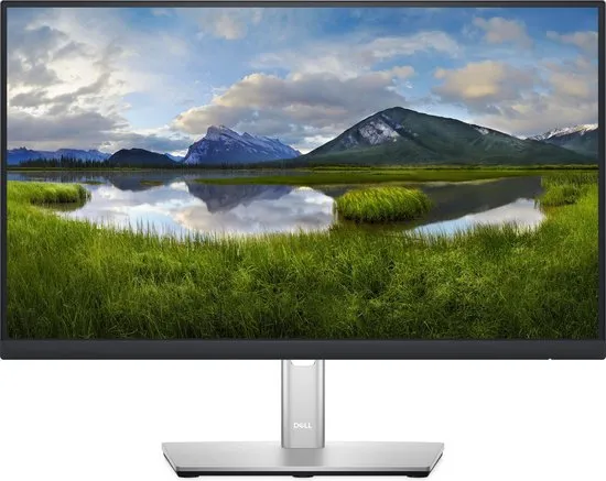 DELL 22 monitor - P2222H