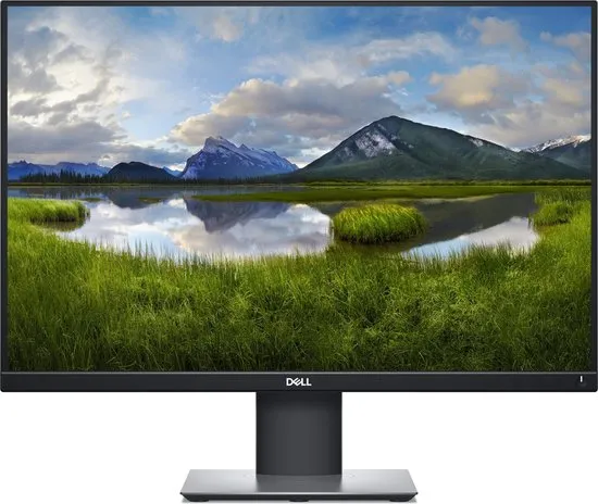 Dell P2421 - WUXGA Monitor - 24 inch