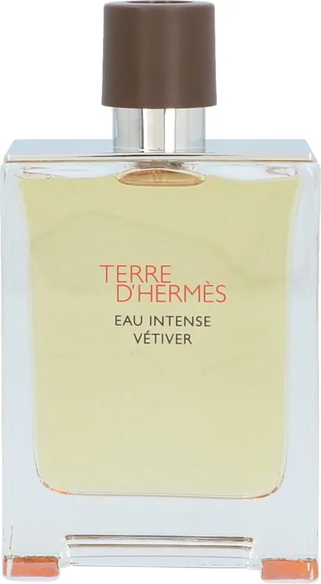 Hermes Terre d'Hermès Eau Intense Vétiver 100 ml - Eau de Parfum - Herenparfum