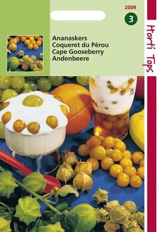 Hortitops Zaden - Ananaskers - Physalis Edulis (Peruviana)