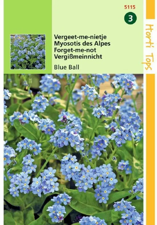Hortitops Zaden - Vergeet-Mij-Nietje Blue Ball (Myosotis alpestris)
