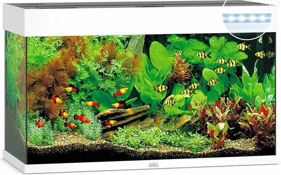 Juwel Aquarium Rio 125 Led - Wit - 80 x 35 x 50 cm - Ca. 125 L