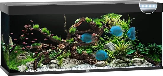 Juwel Aquarium Rio 450 Led 151x51x66 cm Zwart Ca. 450 L