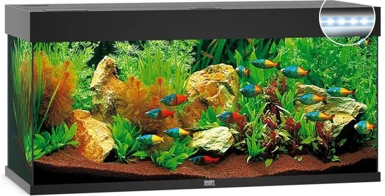 Juwel Rio 240 LED Aquarium Zwart Aquarium - Los aquarium