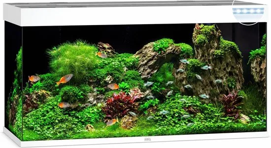 Juwel Rio 250 LED Aquarium - Wit - 350L - 121 x 51 x 66 cm