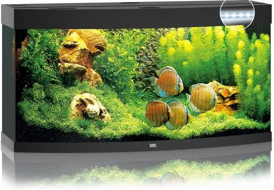 Juwel Vision 260 LED Aquarium - Zwart - 260L - 121 x 46 x 64 cm