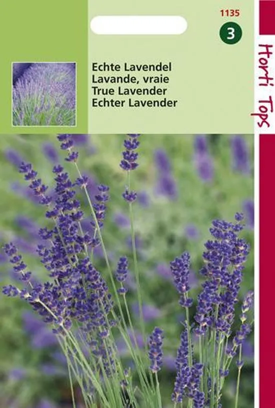 Lavendel - Lavandula Officinalis