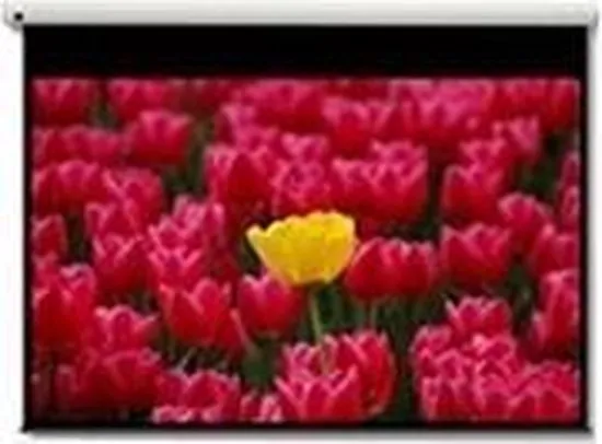 Optoma DE-9120EGA gemotoriseerd bediend projectiescherm 16:9 120 inch diagonaal