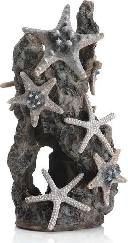 Sea Stars on Rock Aquarium Sculptuur - M - Grijs