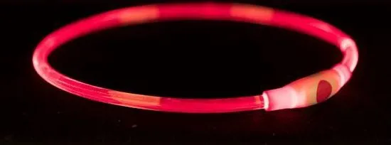 Trixie halsband voor hond usb flash light lichtgevend oplaadbaar rood 65x0,8 cm