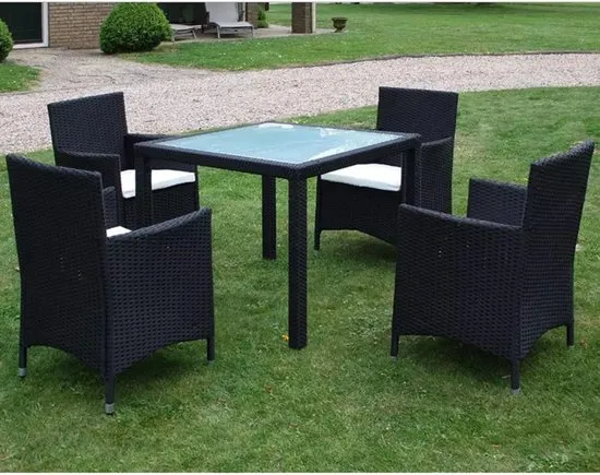 vidaXL 5-delige Tuinset met kussens poly rattan zwart