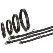 Beeztees - Hondenhalsband - Zwart - 27-33 cm x 12 mm