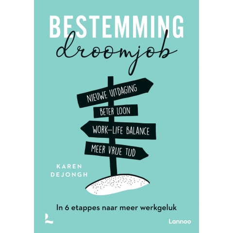 Bestemming droomjob (Paperback)