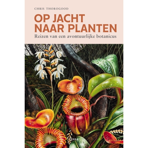 Op jacht naar planten (Hardback)