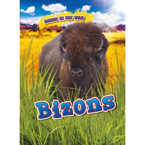 Bizons (Hardback)