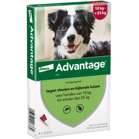2x Advantage Anti Vlooiendruppels 250 Hond 10 - 25 kg 4 pipetten