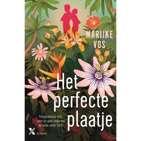 Het perfecte plaatje (Paperback)