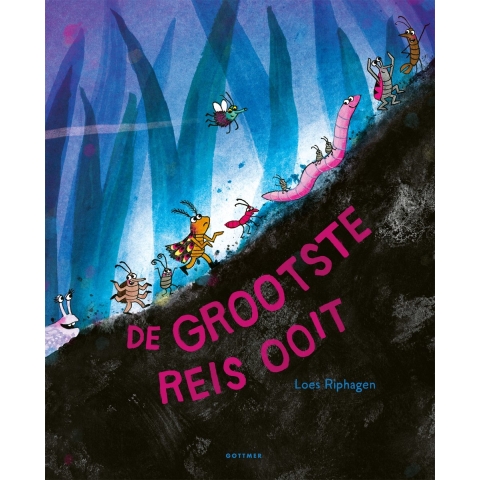 De grootste reis ooit (Hardback)