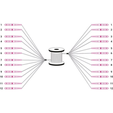 Digitus DK-2433CU050BK-BBB Glasvezel Optische vezel Aansluitkabel [12x LC-/UPC-stekker - 12x LC-/UPC-stekker] 50/125 µ Multimode OM4 50 m