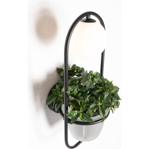 Lindby - Orna Wandlamp Black/Opal