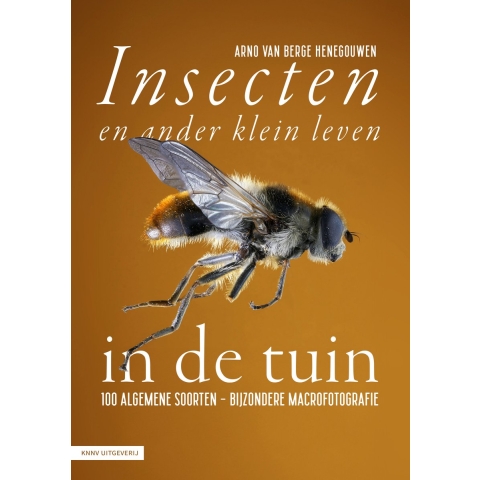 Insecten en ander klein leven in de tuin (Hardback)