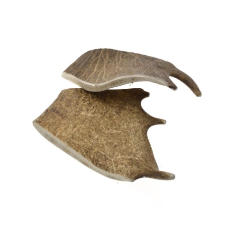 Zoolekker - Damhert gewei hondensnack L x5