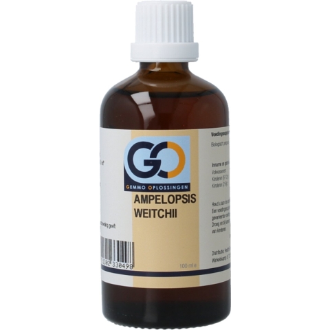 GO Ampelopsis weitchii BIO