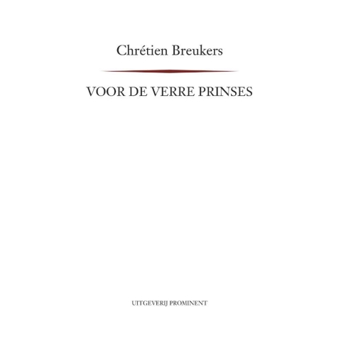 Voor de verre prinses (Paperback)